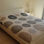 Quinta Do Pinheiro *